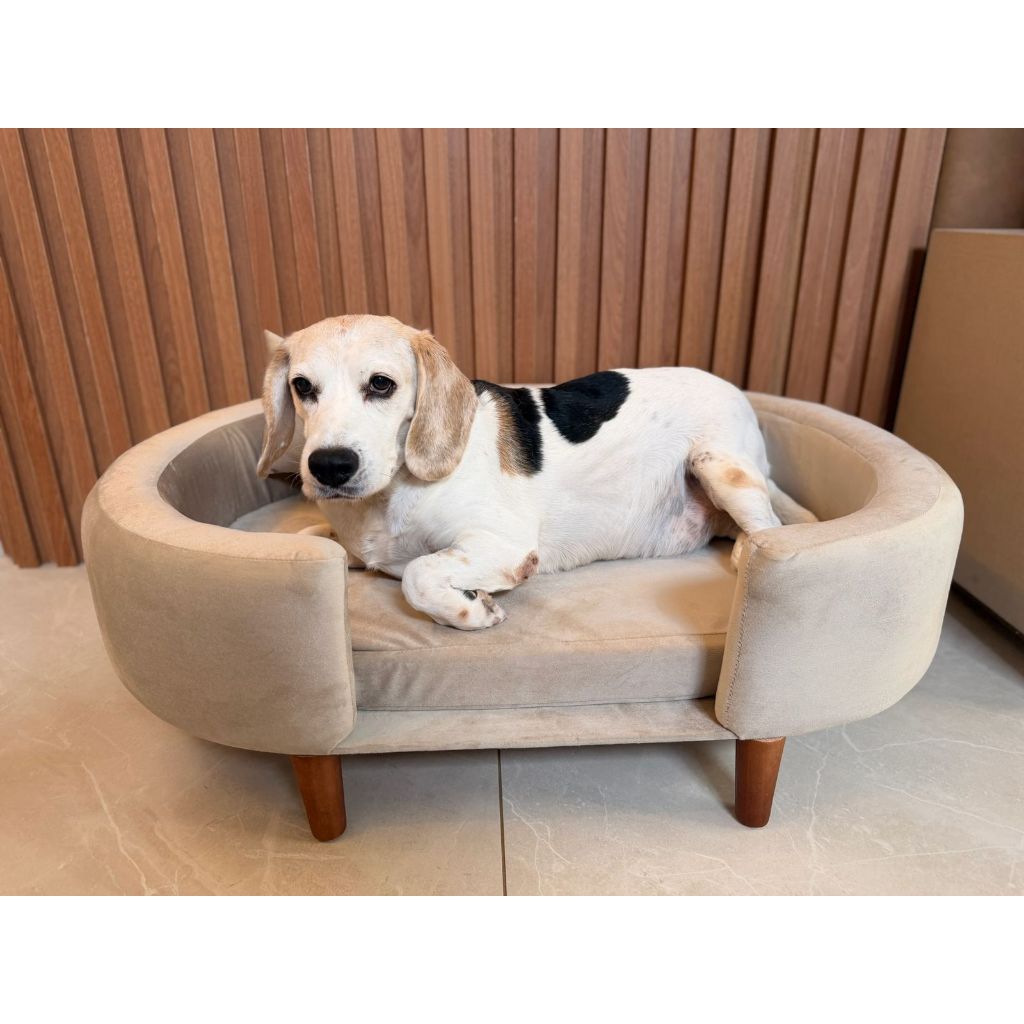 POLTRONA SOFÁ CAMA PET LUXO Linho e Veludo Com Almofada, ESPAÇOSA 90CM - Ideal para cães e gatos.
